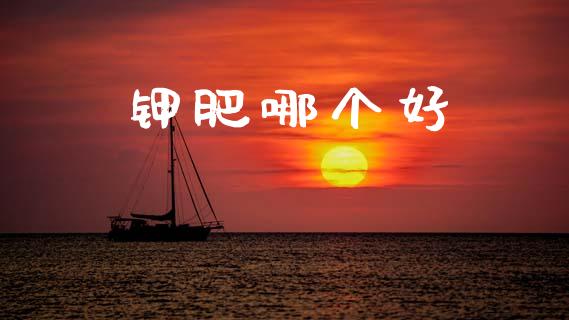 钾肥哪个好_https://cj004.lansai.wang_债券资讯_第1张