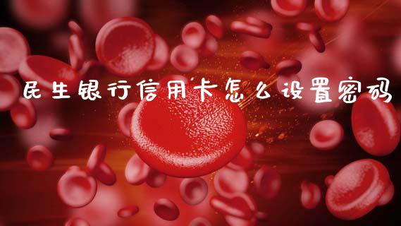 民生银行信用卡怎么设置密码_https://cj004.lansai.wang_外汇交易_第1张