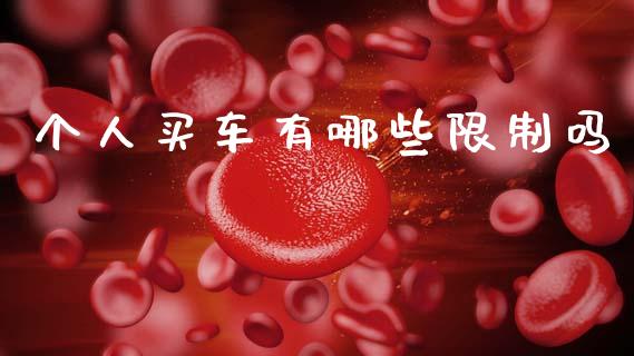 个人买车有哪些限制吗_https://cj004.lansai.wang_全球市场_第1张