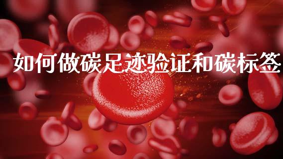 如何做碳足迹验证和碳标签_https://cj004.lansai.wang_债券资讯_第1张