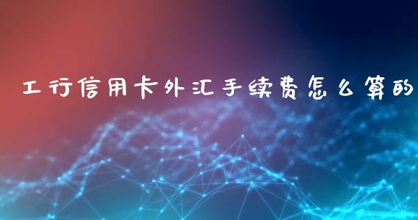 工行信用卡外汇手续费怎么算的_https://cj004.lansai.wang_外汇交易_第1张