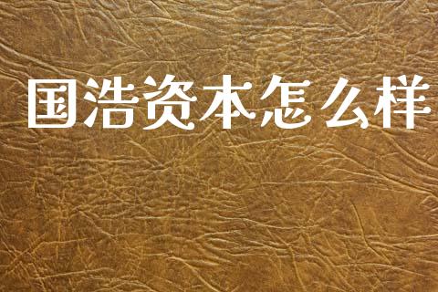国浩资本怎么样_https://cj004.lansai.wang_债券资讯_第1张