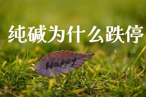 纯碱为什么跌停_https://cj004.lansai.wang_债券资讯_第1张