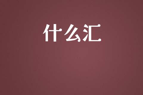 什么汇_https://cj004.lansai.wang_外汇交易_第1张