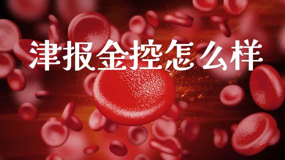 津报金控怎么样_https://cj004.lansai.wang_期货开户_第1张