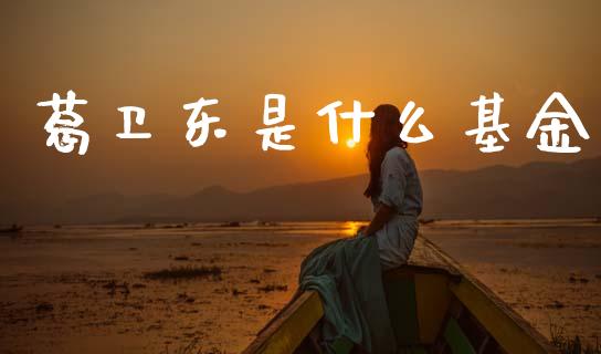 葛卫东是什么基金_https://cj004.lansai.wang_金融监管_第1张