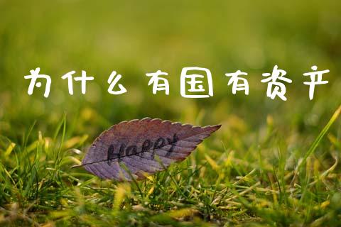 为什么有国有资产_https://cj004.lansai.wang_债券资讯_第1张