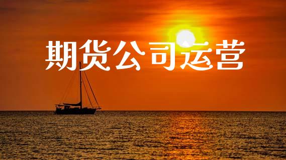 期货公司运营_https://cj004.lansai.wang_金融监管_第1张