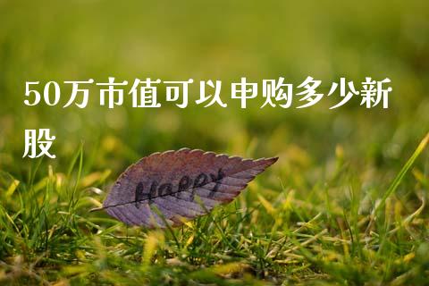 50万市值可以申购多少新股_https://cj004.lansai.wang_全球市场_第1张