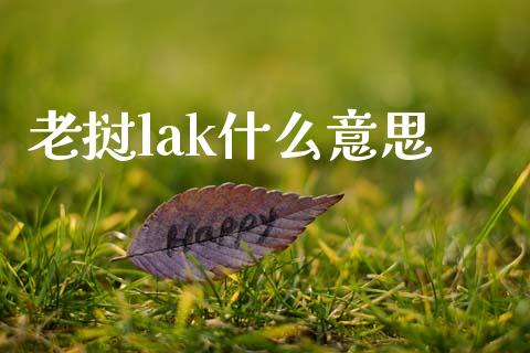 老挝lak什么意思_https://cj004.lansai.wang_财经新闻_第1张