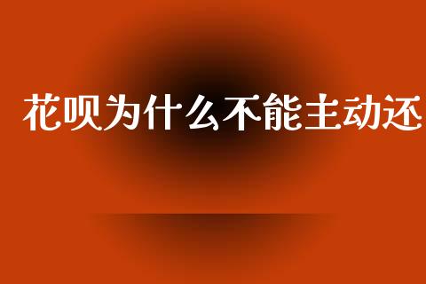 花呗为什么不能主动还_https://cj004.lansai.wang_金融监管_第1张