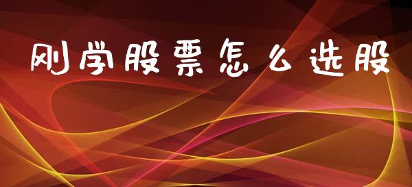 刚学股票怎么选股_https://cj004.lansai.wang_期货开户_第1张