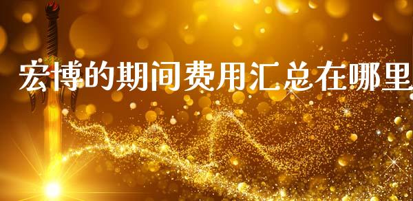 宏博的期间费用汇总在哪里_https://cj004.lansai.wang_外汇交易_第1张