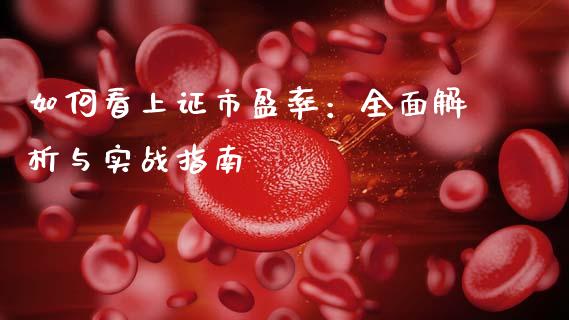 如何看上证市盈率：全面解析与实战指南_https://cj004.lansai.wang_财经新闻_第1张