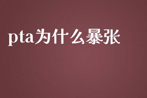 pta为什么暴张_https://cj004.lansai.wang_期货开户_第1张
