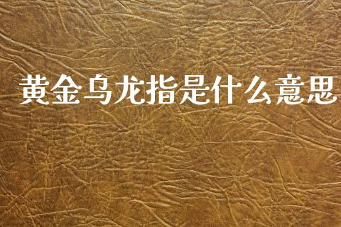 黄金乌龙指是什么意思_https://cj004.lansai.wang_外汇交易_第1张