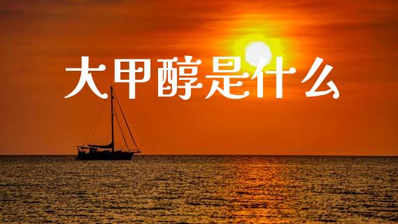 大甲醇是什么_https://cj004.lansai.wang_债券资讯_第1张