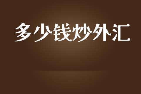 多少钱炒外汇_https://cj004.lansai.wang_金融监管_第1张