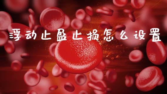 浮动止盈止损怎么设置_https://cj004.lansai.wang_债券资讯_第1张