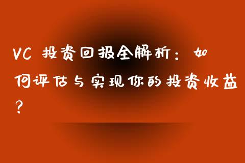 VC 投资回报全解析：如何评估与实现你的投资收益？_https://cj004.lansai.wang_全球市场_第1张