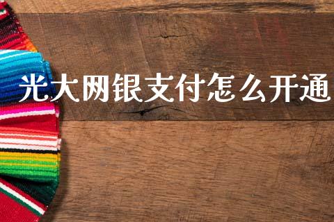 光大网银支付怎么开通_https://cj004.lansai.wang_金融监管_第1张