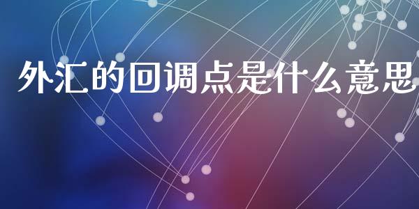 外汇的回调点是什么意思_https://cj004.lansai.wang_外汇交易_第1张