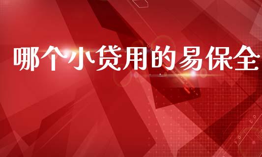 哪个小贷用的易保全_https://cj004.lansai.wang_财经新闻_第1张