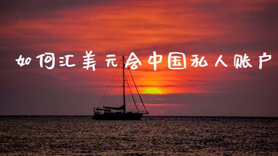 如何汇美元会中国私人账户_https://cj004.lansai.wang_期货开户_第1张