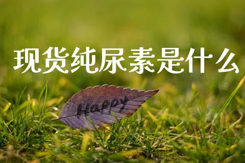 现货纯尿素是什么_https://cj004.lansai.wang_外汇交易_第1张