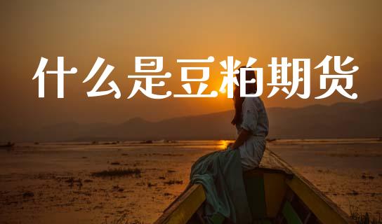 什么是豆粕期货_https://cj004.lansai.wang_外汇交易_第1张