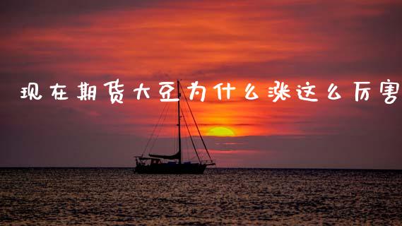 现在期货大豆为什么涨这么厉害_https://cj004.lansai.wang_全球市场_第1张