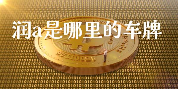 润a是哪里的车牌_https://cj004.lansai.wang_金融监管_第1张