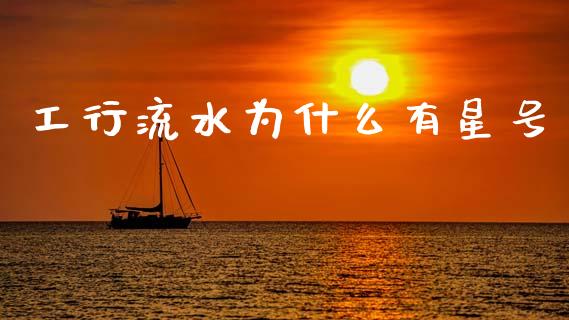工行流水为什么有星号_https://cj004.lansai.wang_全球市场_第1张