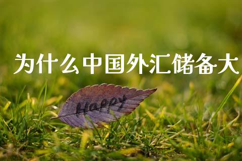 为什么中国外汇储备大_https://cj004.lansai.wang_外汇交易_第1张
