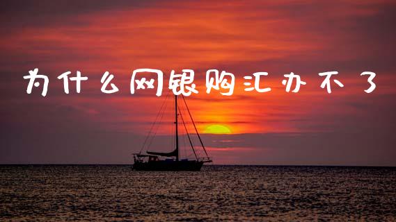为什么网银购汇办不了_https://cj004.lansai.wang_全球市场_第1张