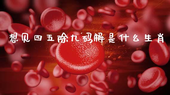 想见四五除九码解是什么生肖_https://cj004.lansai.wang_金融监管_第1张