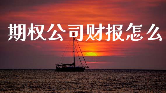 期权公司财报怎么_https://cj004.lansai.wang_全球市场_第1张