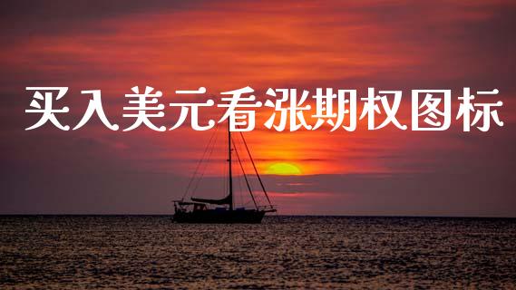 买入美元看涨期权图标_https://cj004.lansai.wang_金融监管_第1张