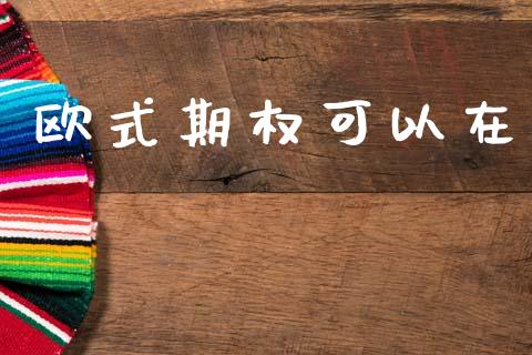 欧式期权可以在_https://cj004.lansai.wang_全球市场_第1张