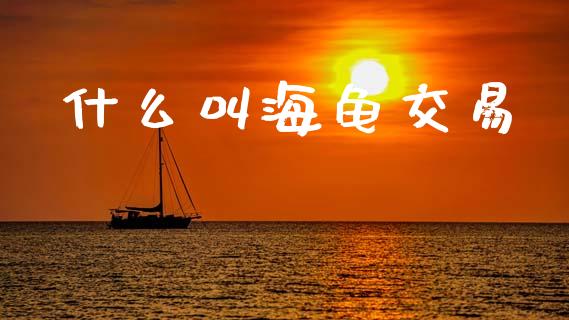 什么叫海龟交易_https://cj004.lansai.wang_全球市场_第1张