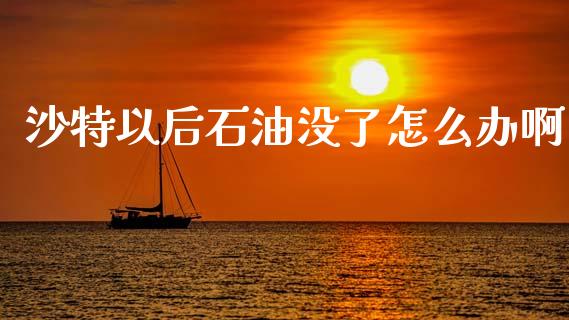 沙特以后石油没了怎么办啊_https://cj004.lansai.wang_债券资讯_第1张