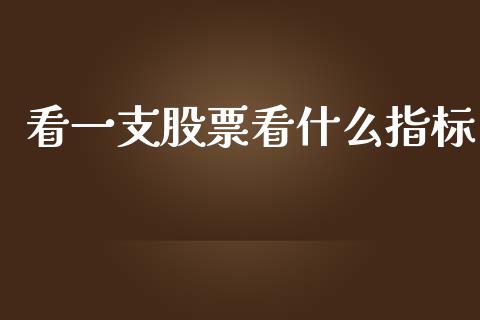 看一支股票看什么指标_https://cj004.lansai.wang_期货开户_第1张