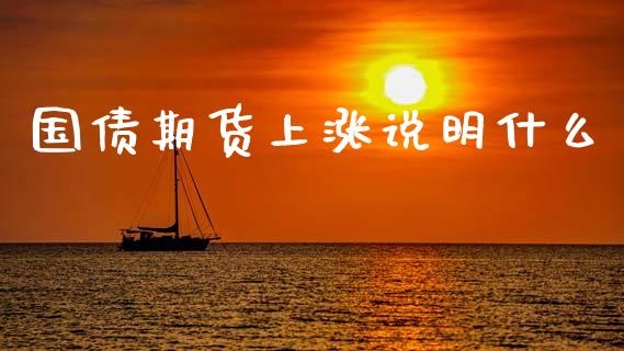 国债期货上涨说明什么_https://cj004.lansai.wang_金融监管_第1张