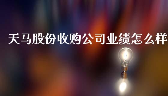 天马股份收购公司业绩怎么样_https://cj004.lansai.wang_金融监管_第1张