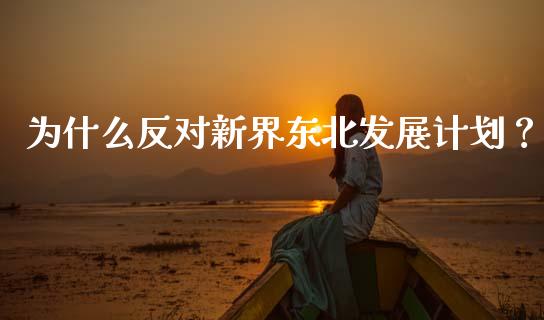 为什么反对新界东北发展计划？_https://cj004.lansai.wang_财经新闻_第1张