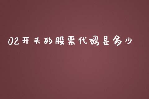 02开头的股票代码是多少_https://cj004.lansai.wang_财经新闻_第1张
