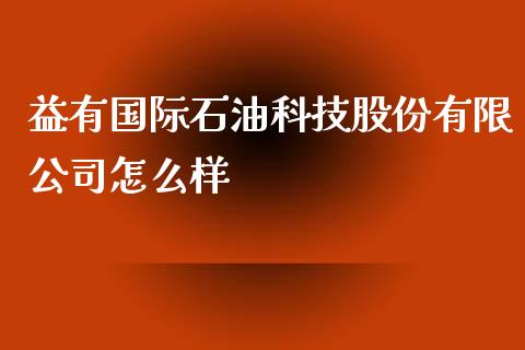 益有国际石油科技股份有限公司怎么样_https://cj004.lansai.wang_金融监管_第1张