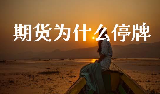 期货为什么停牌_https://cj004.lansai.wang_外汇交易_第1张
