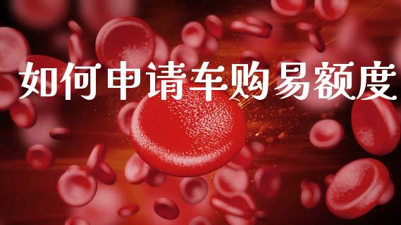 如何申请车购易额度_https://cj004.lansai.wang_全球市场_第1张
