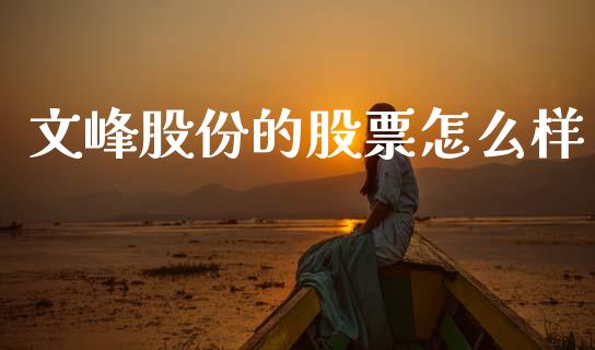 文峰股份的股票怎么样_https://cj004.lansai.wang_债券资讯_第1张